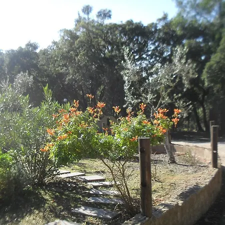 Quinta Do Outeiro Alto *