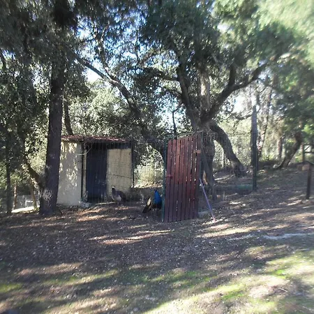 Quinta Do Outeiro Alto *