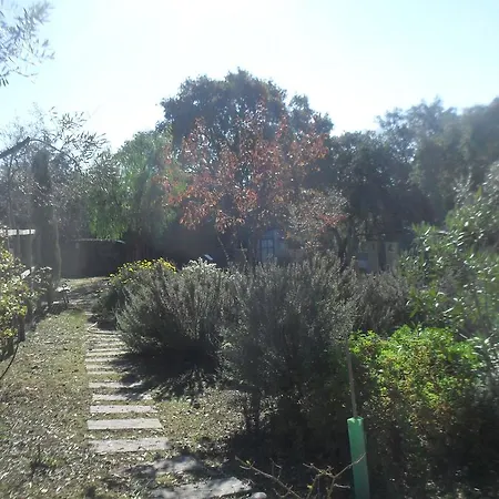 Quinta Do Outeiro Alto בית חווה Constância