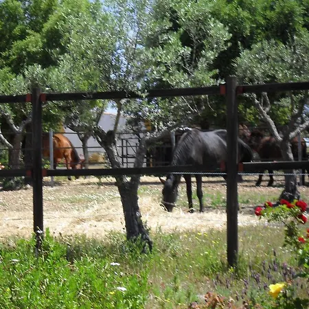 Alojamento de Turismo Rural Quinta Do Outeiro Alto *