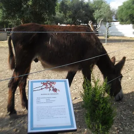 Quinta Do Outeiro Alto