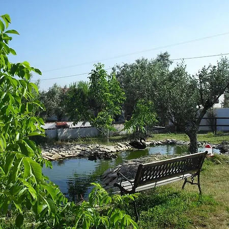 Quinta Do Outeiro Alto Farm stay *