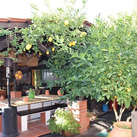 Farm stay Quinta Do Outeiro Alto Constancia