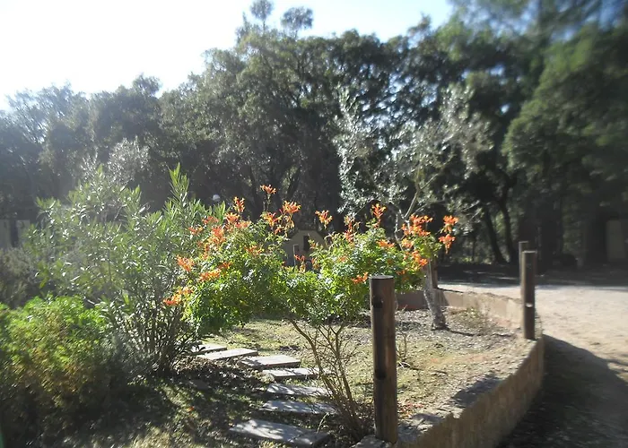 Quinta Do Outeiro Alto *