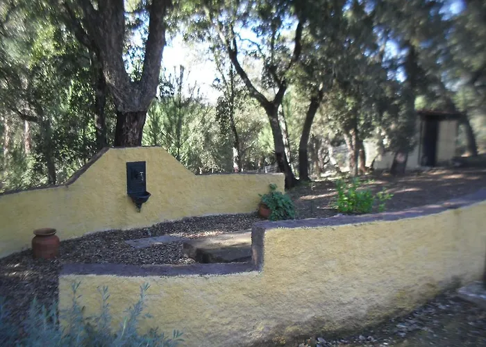 Quinta Do Outeiro Alto בית חווה Constância