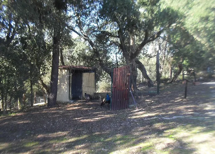 Quinta Do Outeiro Alto *