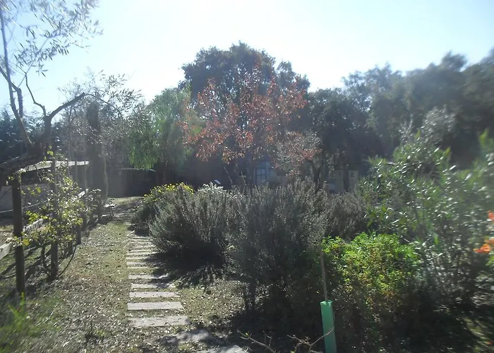 Quinta Do Outeiro Alto בית חווה Constância