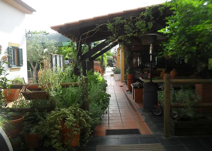 Quinta Do Outeiro Alto * Constância