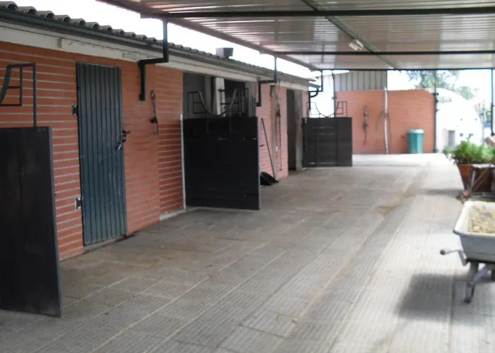 Quinta Do Outeiro Alto مزرعة للإقامة *