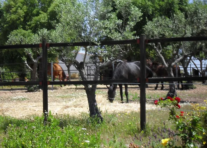مزرعة للإقامة Quinta Do Outeiro Alto *