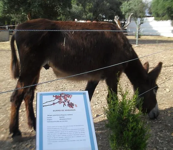 Quinta Do Outeiro Alto