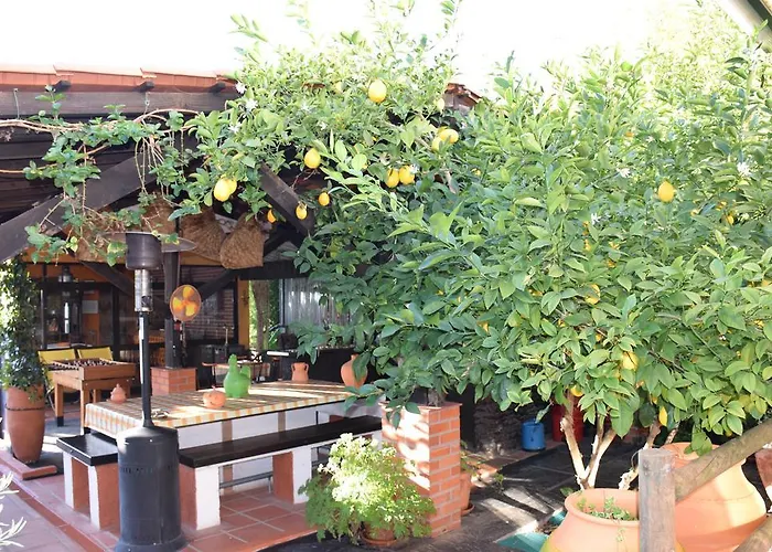 مزرعة للإقامة Quinta Do Outeiro Alto Constância