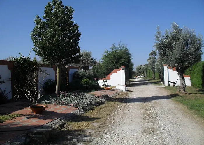 Quinta Do Outeiro Alto مزرعة للإقامة *